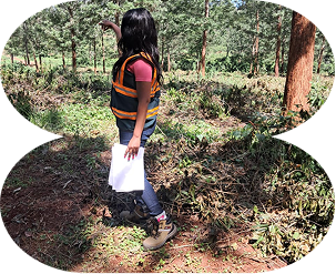 On site field